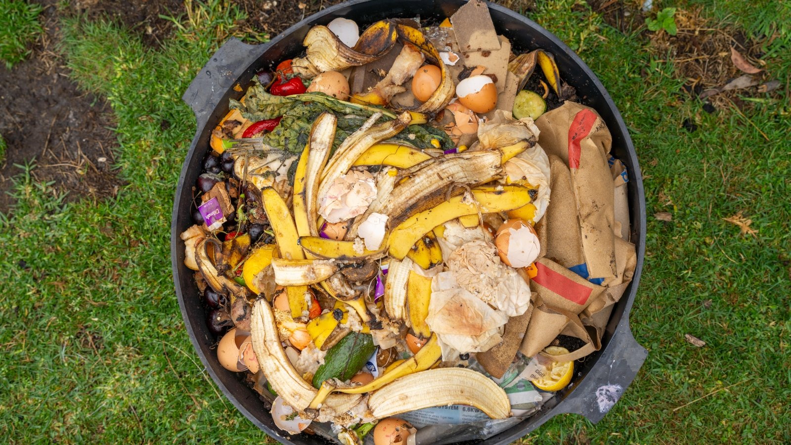 Numerous small worms wriggling through decomposing organic matter in a pile, with leafy plant remnants visible in the mix.