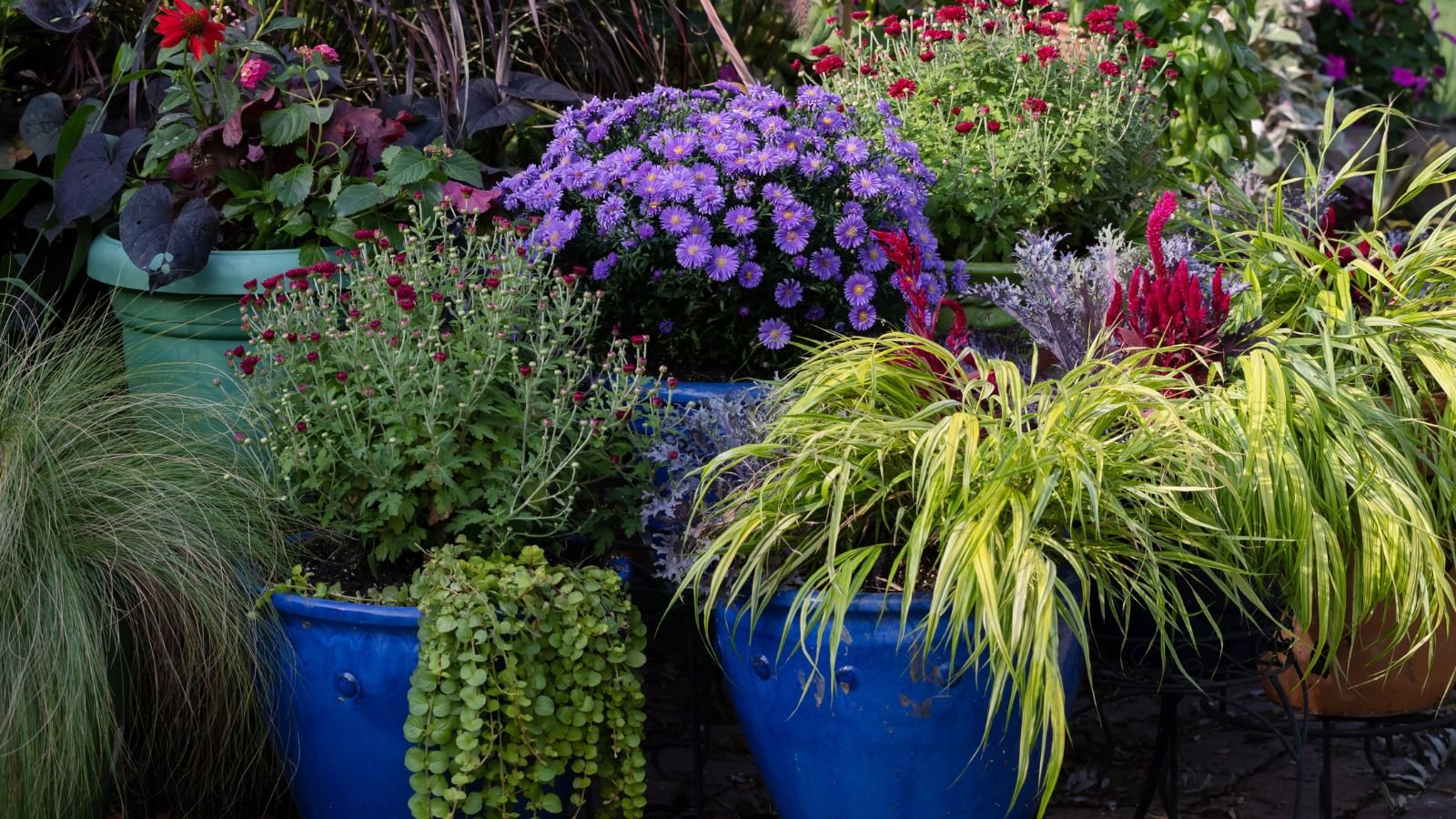 A shot of various colored pots with different designs and with different plants and flowers in an area outdoors