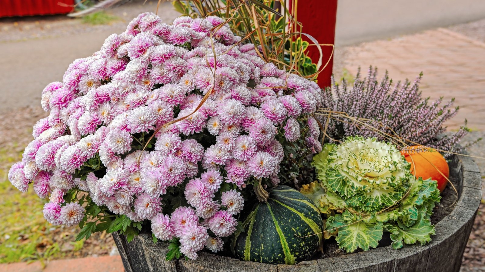 A repurposed wooden whiskey barrel filled to the brim with a combination of pink chrysanthemum, yellow and green grasses, pink flowered pentas, gourds, and icy ornamental kale.