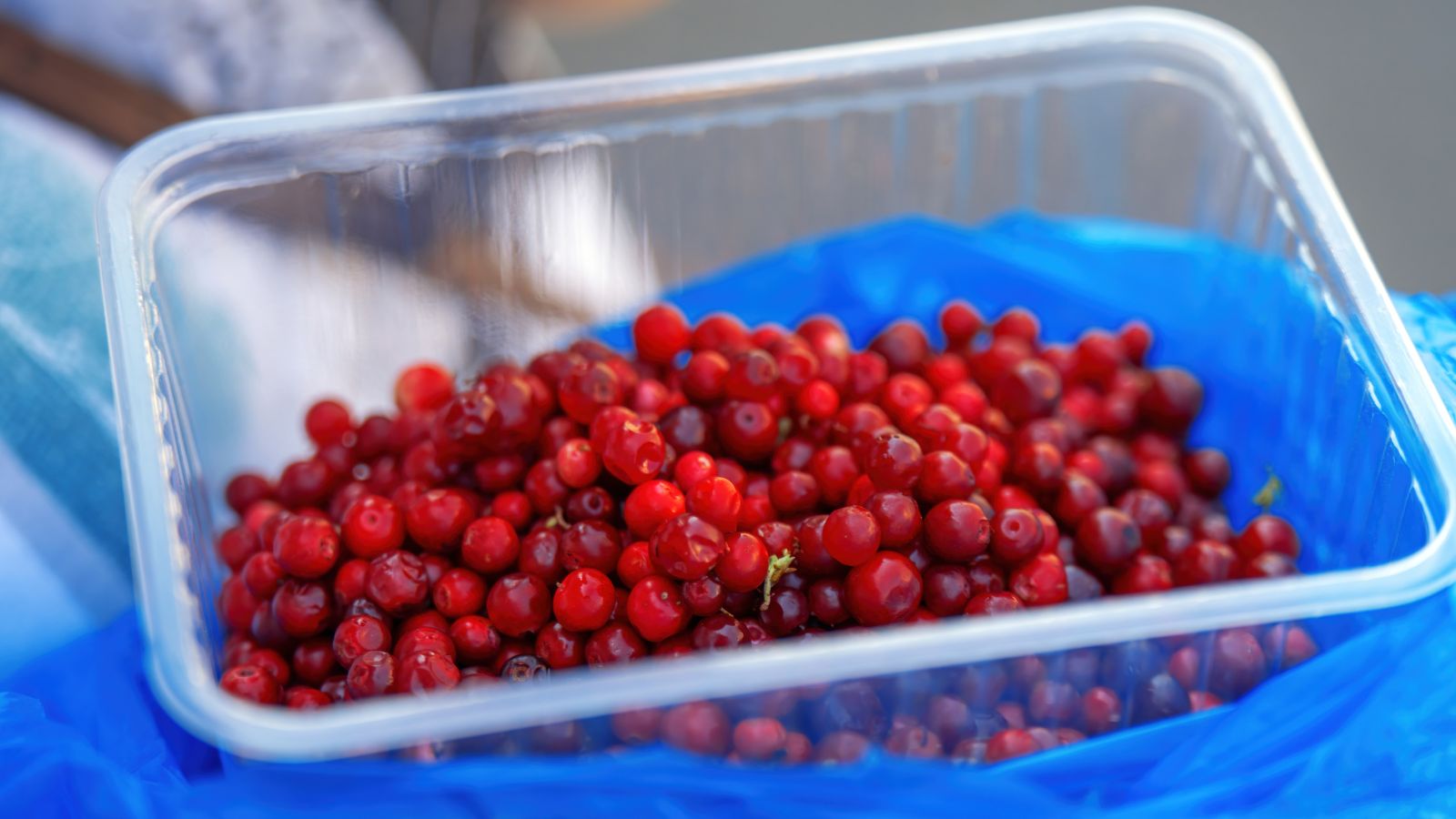 A close-up shot of a plastic container of fresh berries in a well lit area.