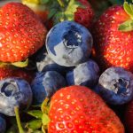 Can You Develop Strawberries With Blueberries?