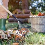 11 Fall Gardening Duties You Should not Ignore