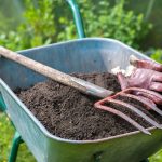 9 Straightforward Methods to Enhance Your Soil