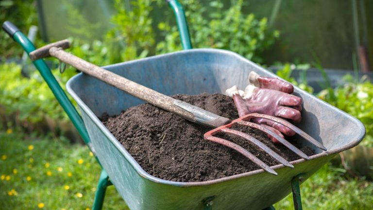 9 Straightforward Methods to Enhance Your Soil