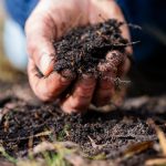 How Quick Does Compost Flip Into Soil?