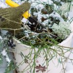 By no means Do these 7 Backyard Duties After Your First Frost