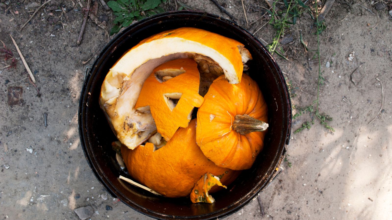 The right way to Compost Your Halloween Pumpkins