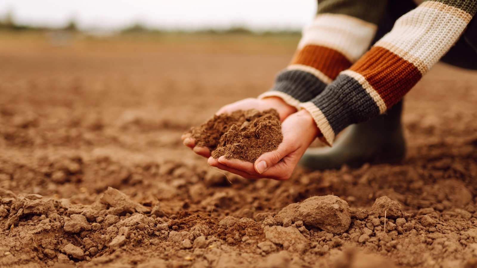 A gardener wearing a striped sweater inspects the texture of brown, lumpy soil in a garden bed with their hands.
