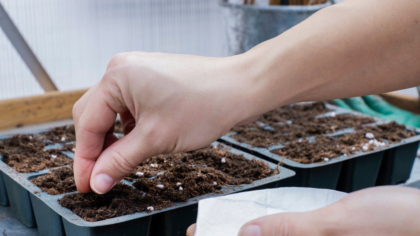 A hand placing small seeds into a tray filled with dark planting material, divided into compartments.