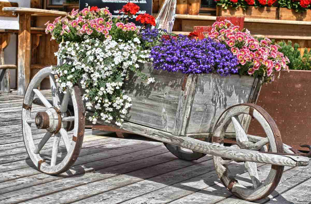 Old wooden wheelbarrow planter filled with colorful annual plants.