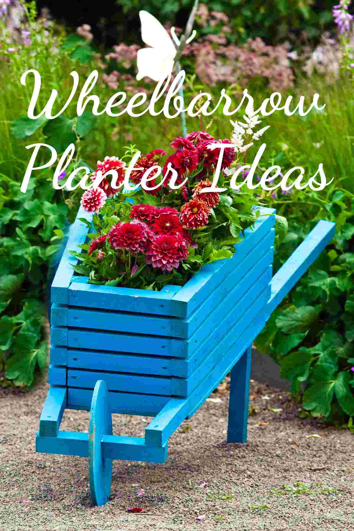 Blue wooden DIY wheelbarrow with words Wheelbarrow planter ideas.