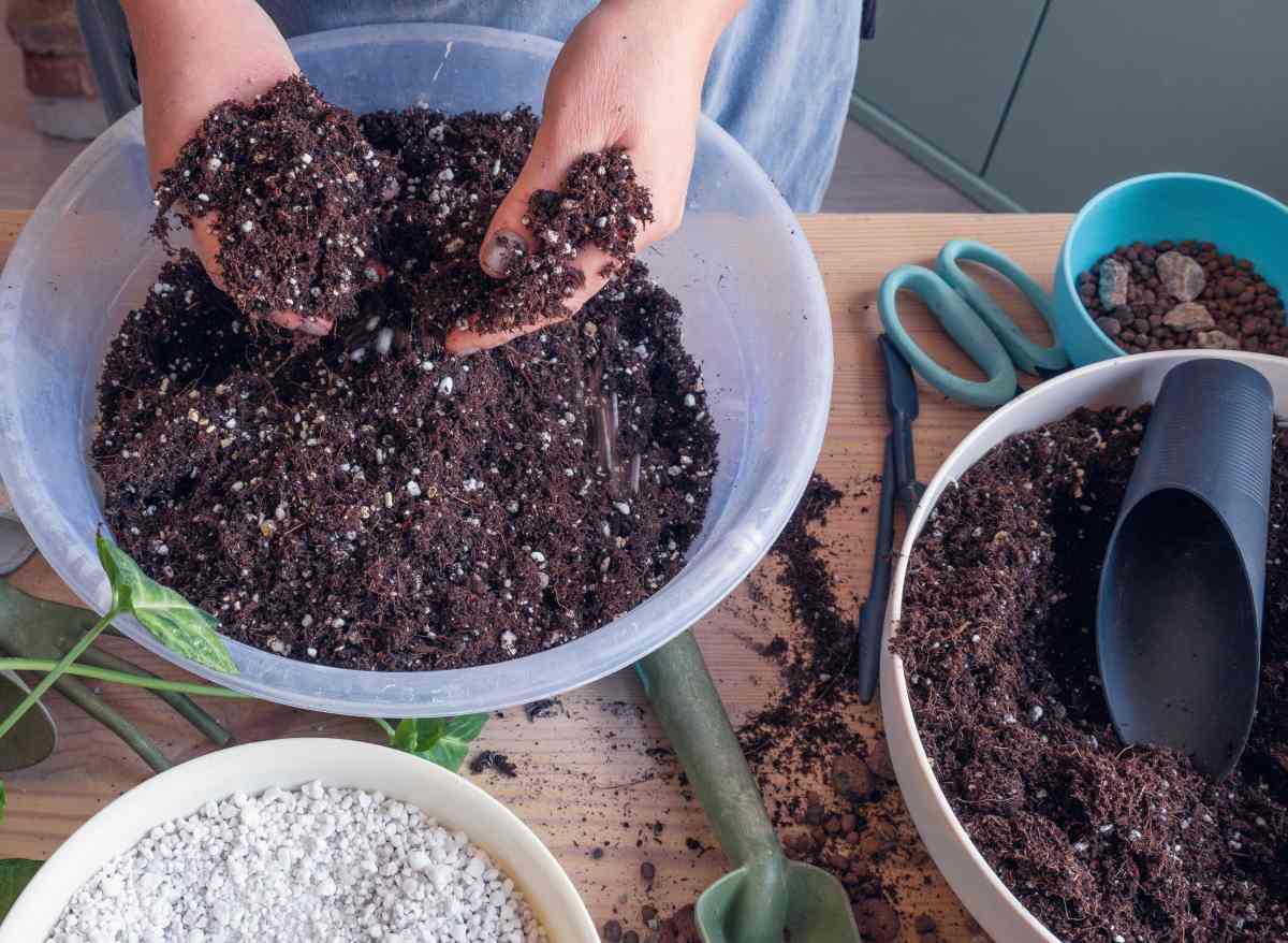 Hands holding well draining soil mix.