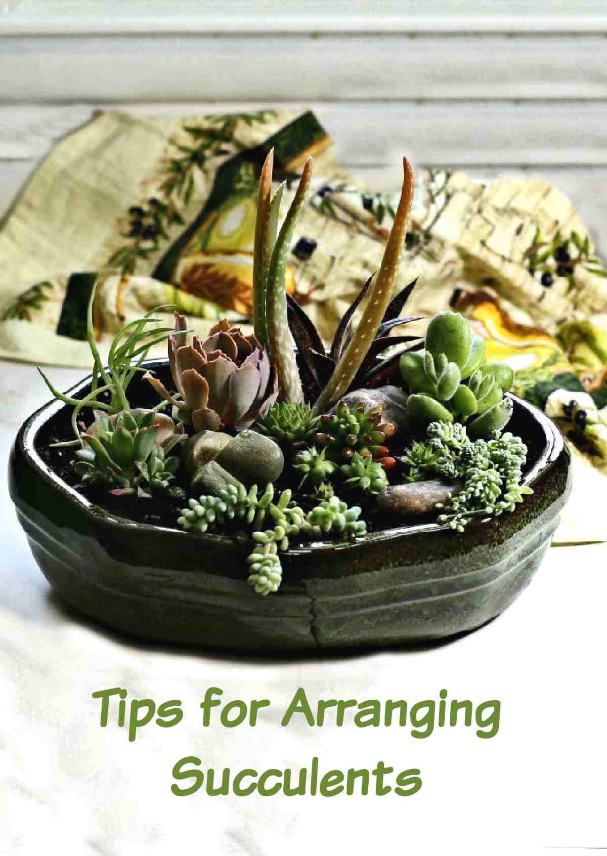 DIY succulent arrangement with words Tips for Arranging Succulents.