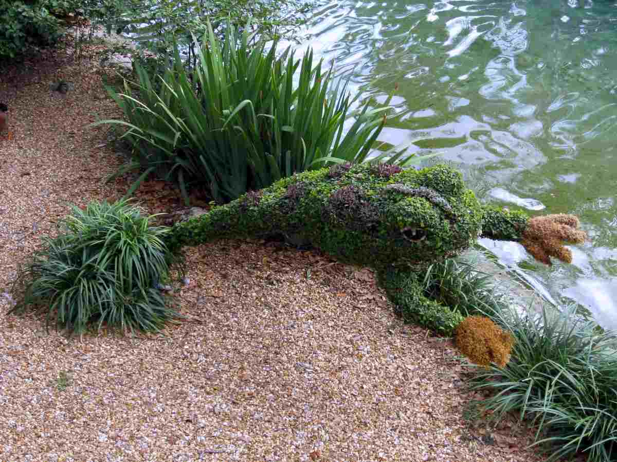 Frog garden topiary from Busch Gardens.