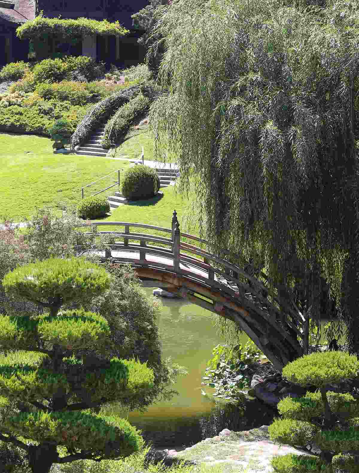 Japanese garden setting at the Botanical Gardens in Pasadena California.