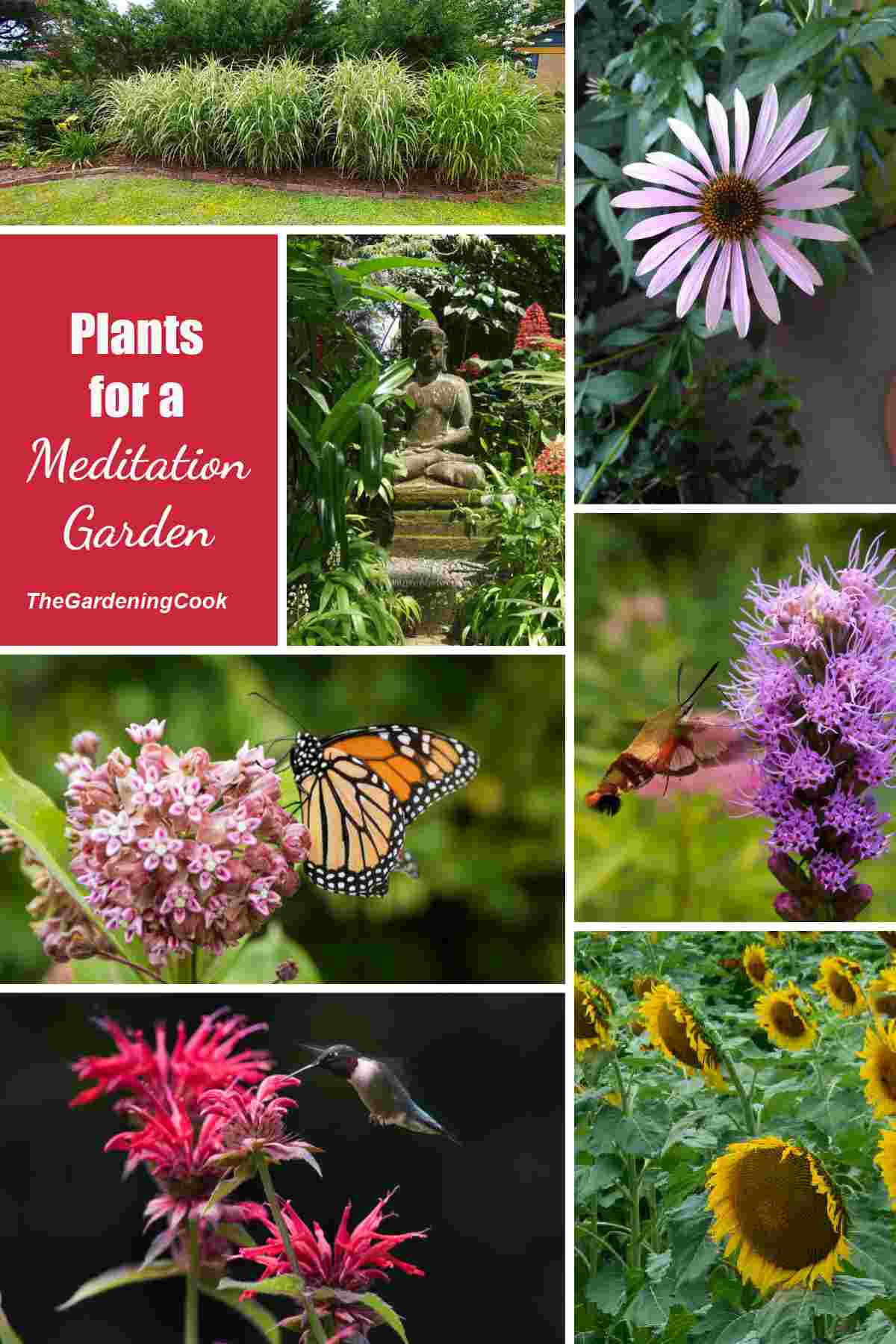 Flowering plants with birds and butterflies and words Plants for Meditation Garden.