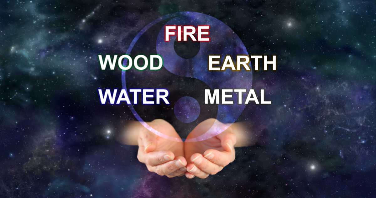 Hands outstretched with the words fire, wood, earth, water and metal.