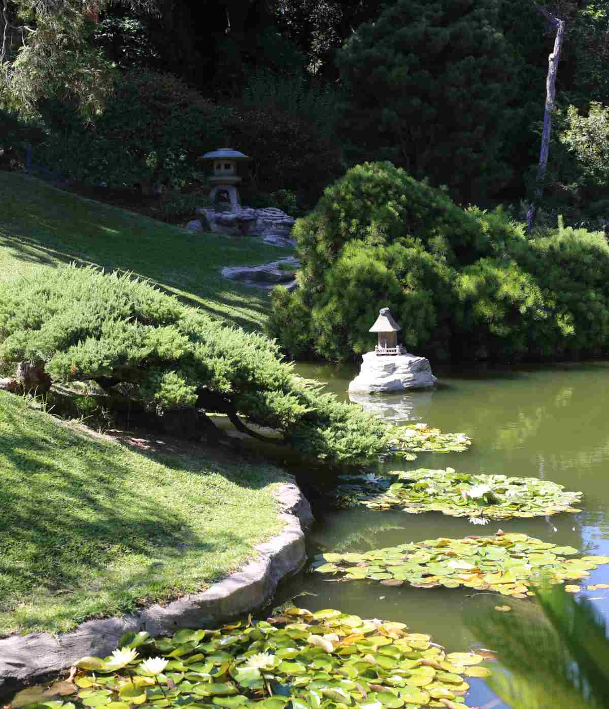 Japanese lantern and pond at Pasadena Botanical Garden.