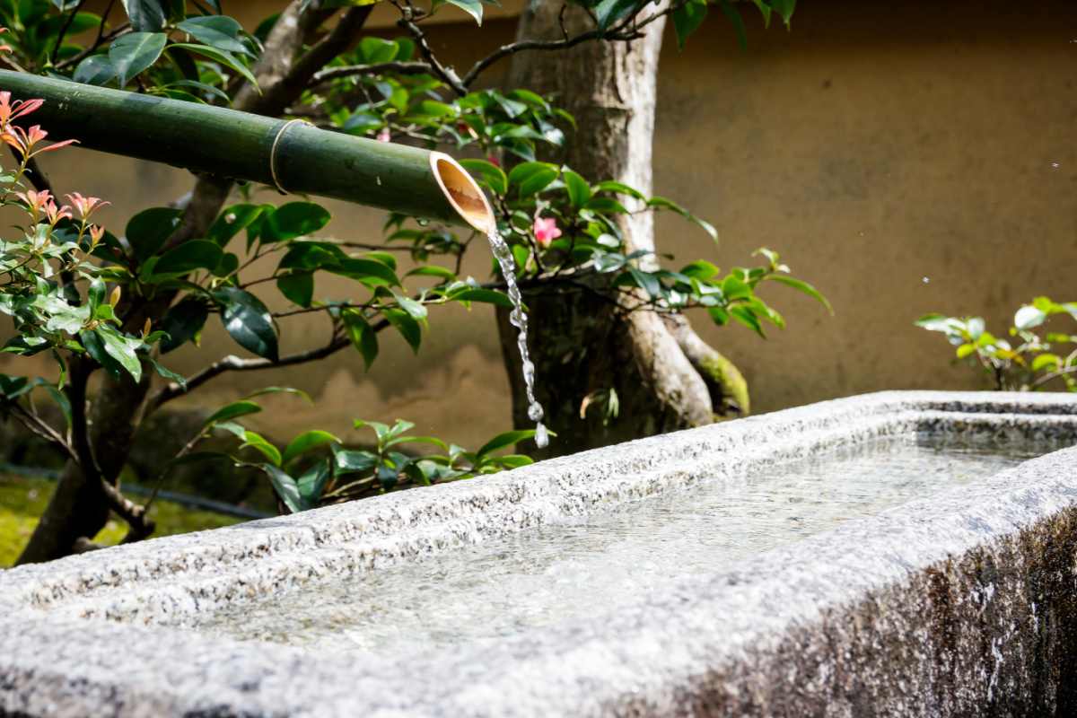 Bamboo spout with water over a cement trough.