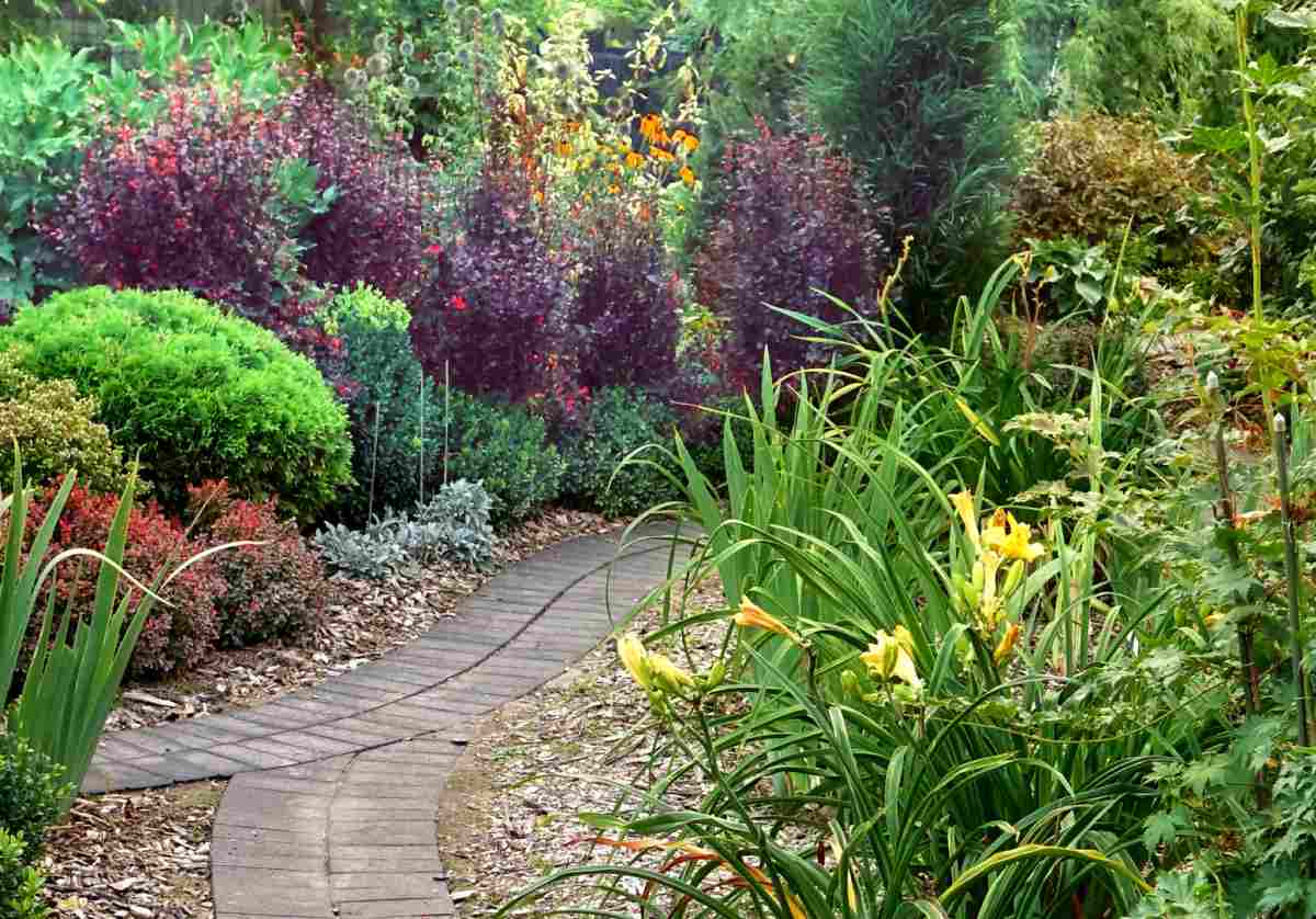 Winding garden paths in a large garden.