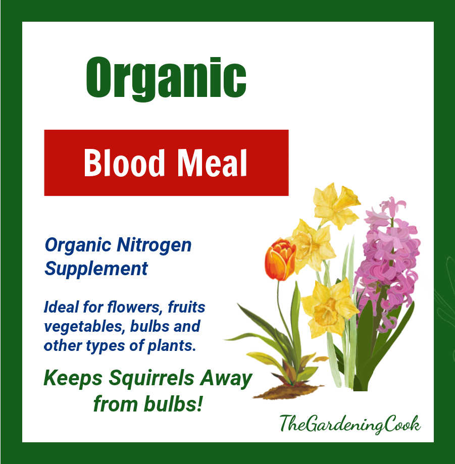 Graphic describing organic blood meal to keep squirrels away from bulbs.