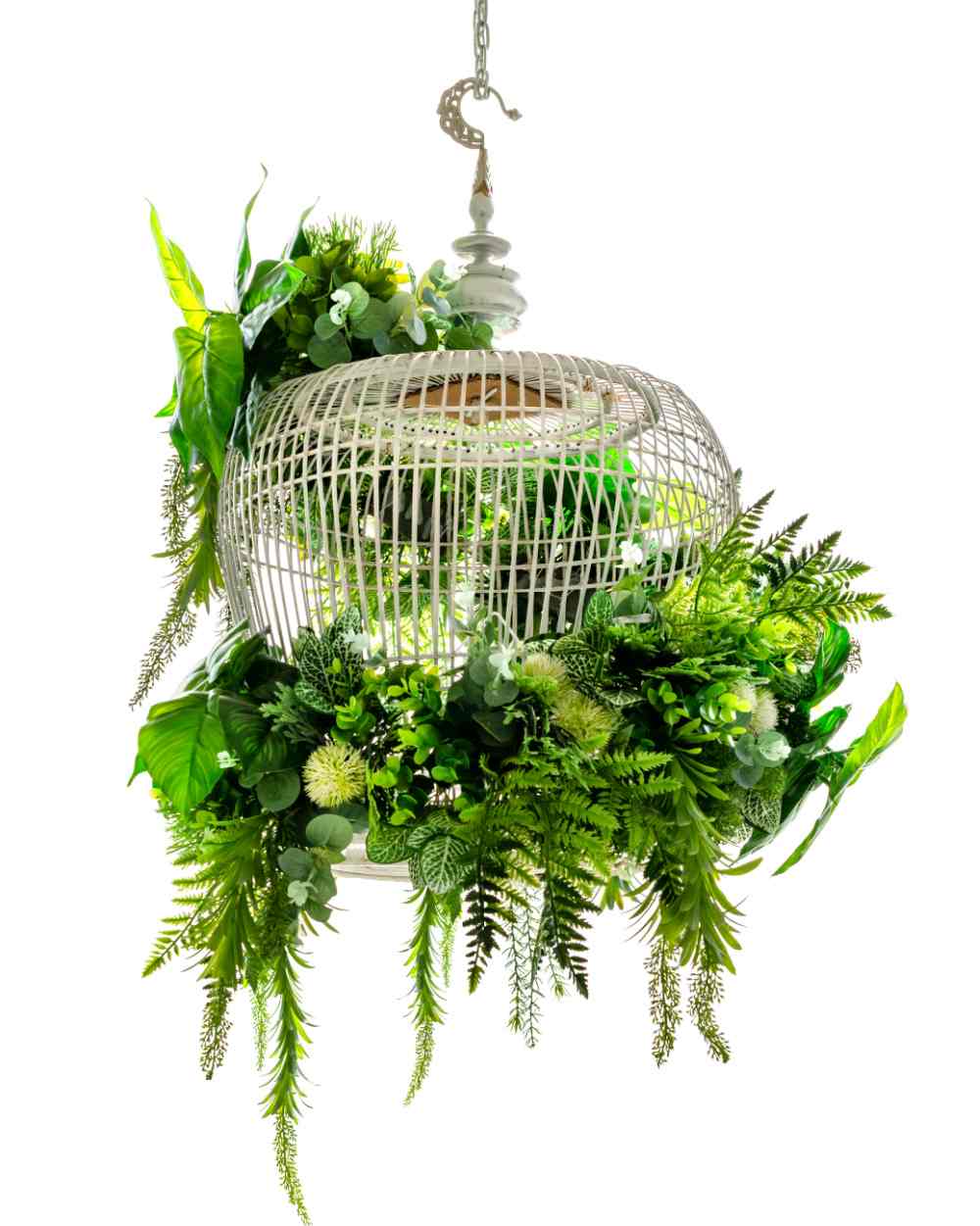 Bird cage planter with trailing leaves.