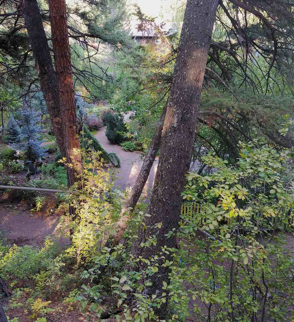 Scene from an observation deck overlooking Tizer Botanic Garden and Prickly Pear Creek.