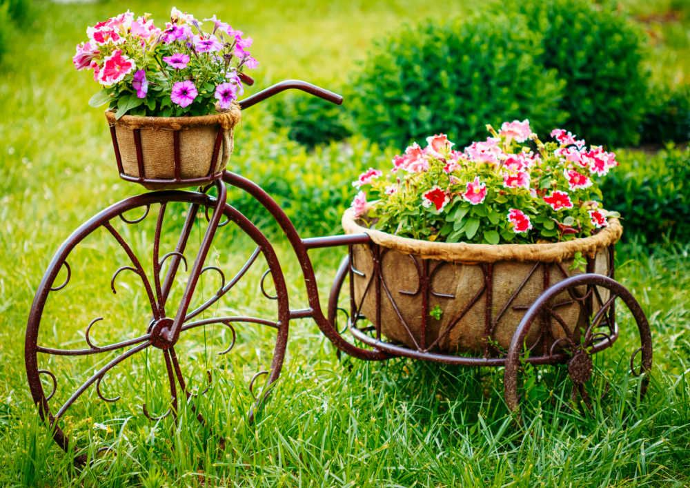 Bicycle with basket planted with flowers.