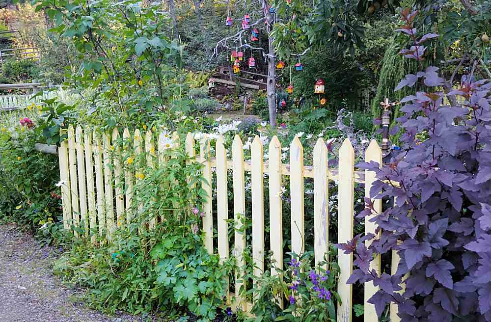 White picket fence with wildflowers behind it.