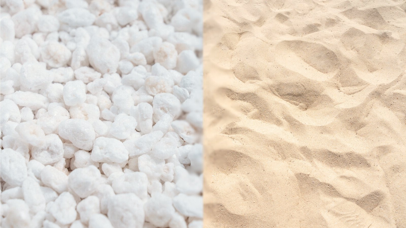 Perlite Vs. Sand: The Best Choice to Improve Soil Drainage